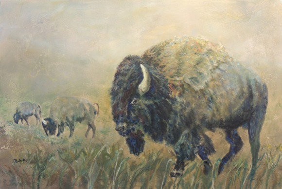 bison 2018 (4)