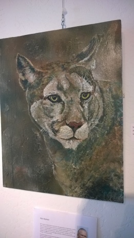 cougar 1